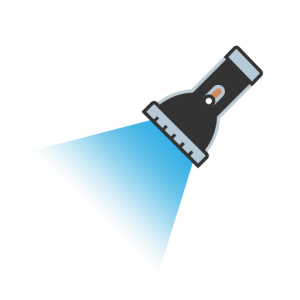 Camius security camera with lights