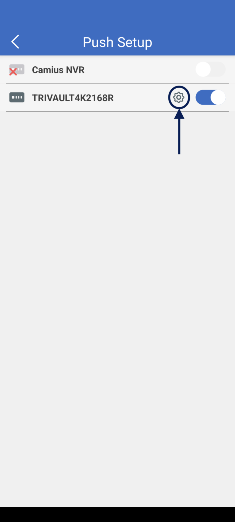 Camius view Push setup