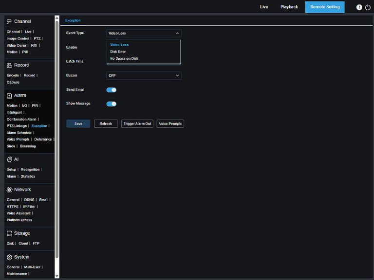 Camius NVR - activate alarm notifications when the NVR has no space on the hard disk, HDD error - why is my security camera beeping