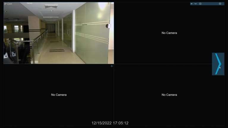 How can I view only IP cameras on my Camius Hybrid DVR?