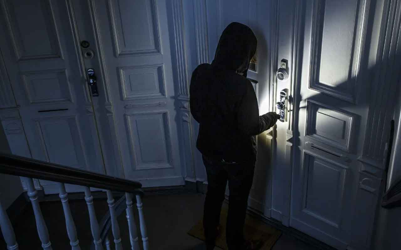 camius indruder door